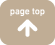 pagetop